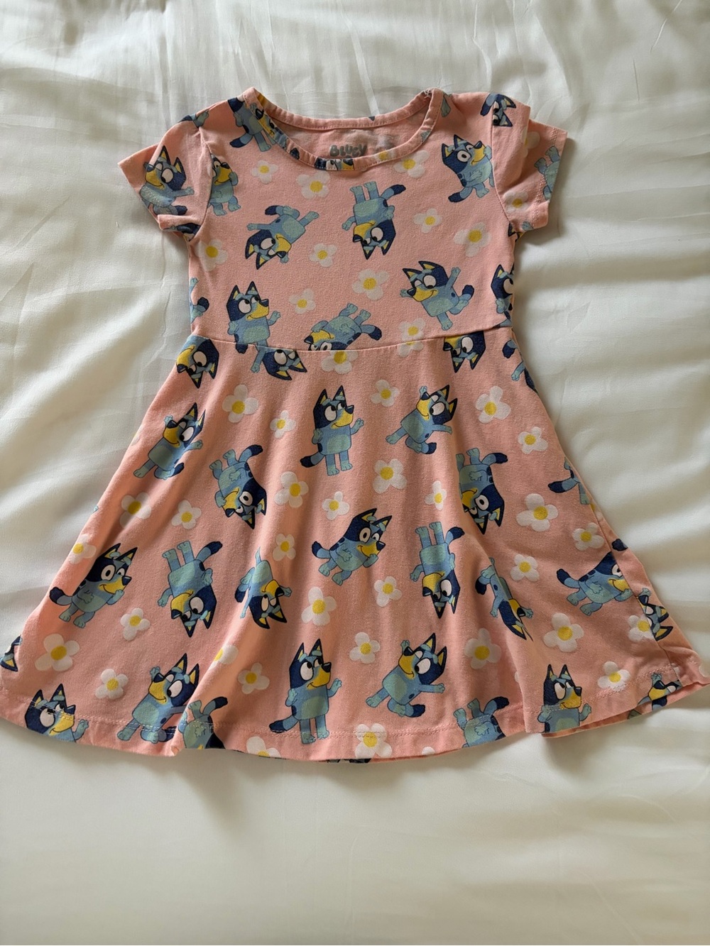 Girls Bluey Dress 4T